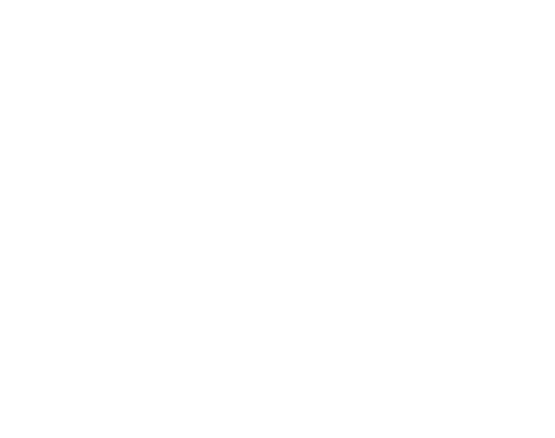 BGV__BGV Logo W